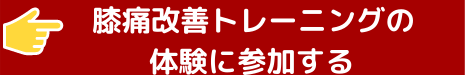 静岡市・浜松市で膝痛改善トレーニングの体験